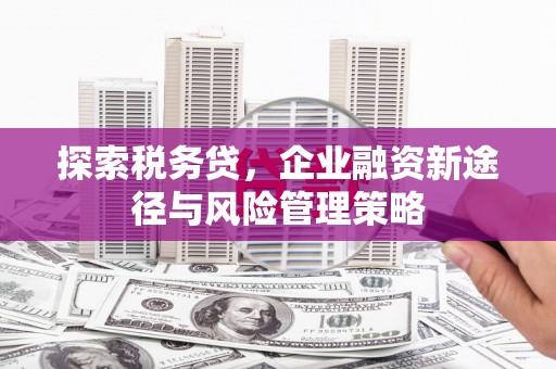 乐都探索税务贷，企业融资新途径与风险管理策略