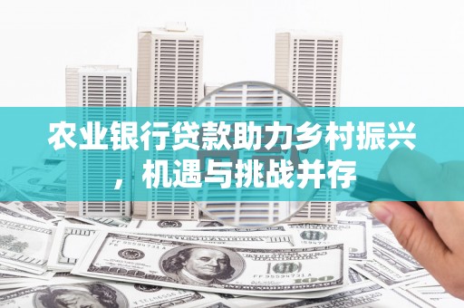 乐都农业银行贷款助力乡村振兴，机遇与挑战并存