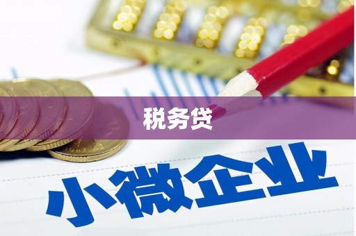 乐都税务贷