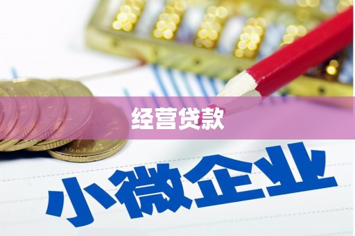 乐都经营贷款