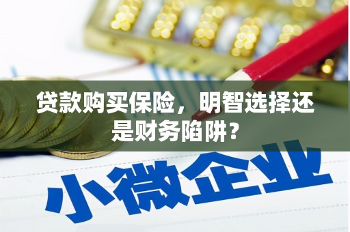 乐都贷款购买保险，明智选择还是财务陷阱？