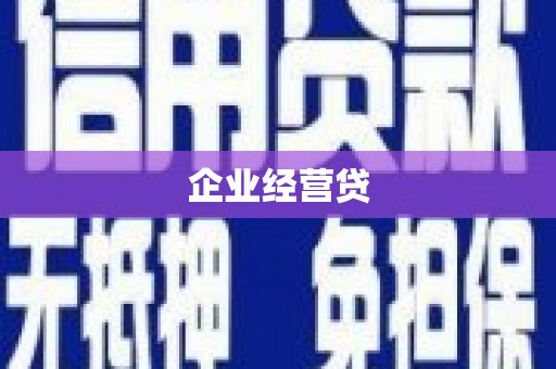 乐都企业经营贷
