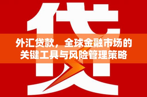 乐都外汇贷款，全球金融市场的关键工具与风险管理策略