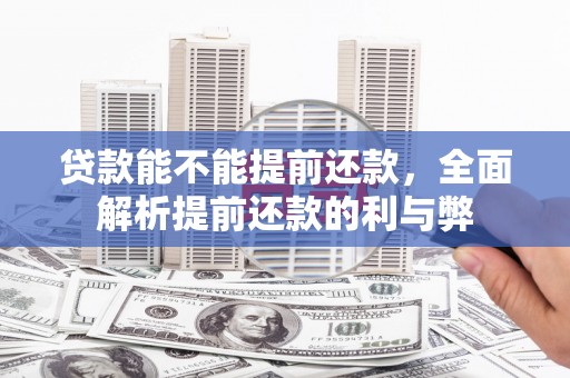 乐都贷款能不能提前还款，全面解析提前还款的利与弊