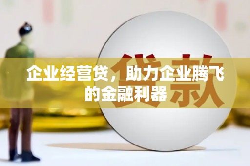 乐都企业经营贷，助力企业腾飞的金融利器