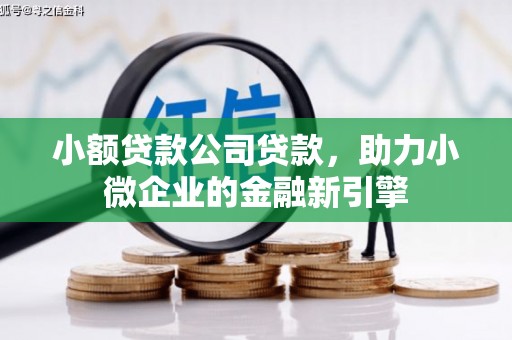 乐都小额贷款公司贷款，助力小微企业的金融新引擎