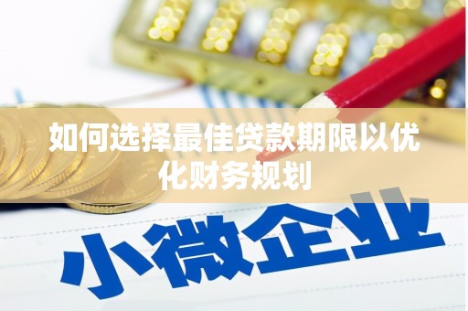 乐都如何选择最佳贷款期限以优化财务规划