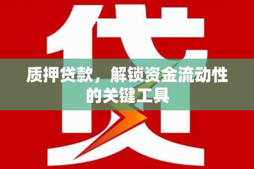 乐都质押贷款，解锁资金流动性的关键工具
