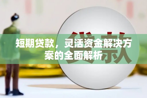 乐都短期贷款，灵活资金解决方案的全面解析