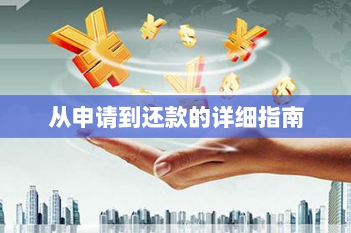 乐都从申请到还款的详细指南