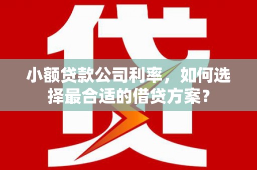 乐都小额贷款公司利率，如何选择最合适的借贷方案？