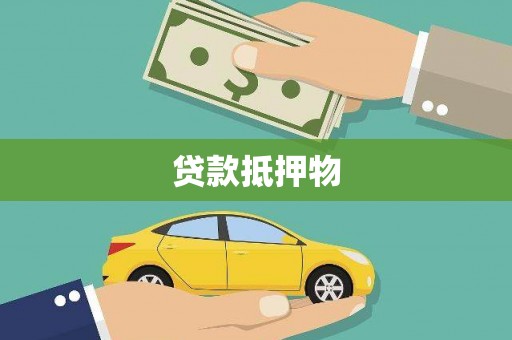 乐都贷款抵押物