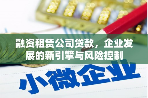 乐都融资租赁公司贷款，企业发展的新引擎与风险控制