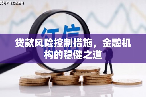 乐都贷款风险控制措施，金融机构的稳健之道
