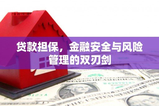 乐都贷款担保，金融安全与风险管理的双刃剑