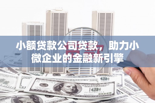 乐都小额贷款公司贷款，助力小微企业的金融新引擎