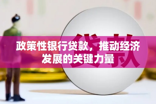 乐都政策性银行贷款，推动经济发展的关键力量
