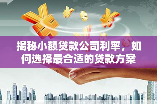 乐都揭秘小额贷款公司利率，如何选择最合适的贷款方案