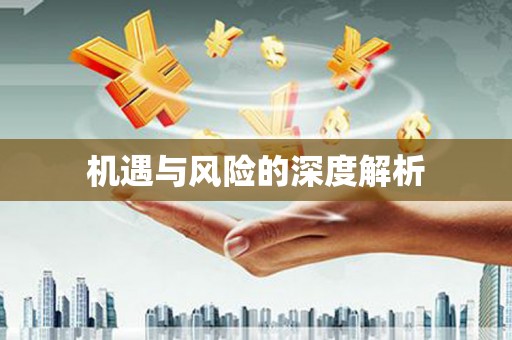 乐都机遇与风险的深度解析