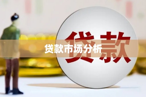 乐都贷款市场分析