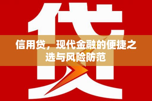 乐都信用贷，现代金融的便捷之选与风险防范