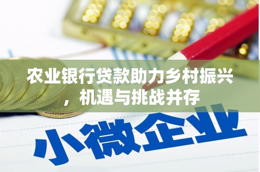 乐都农业银行贷款助力乡村振兴，机遇与挑战并存