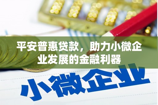 乐都平安普惠贷款，助力小微企业发展的金融利器