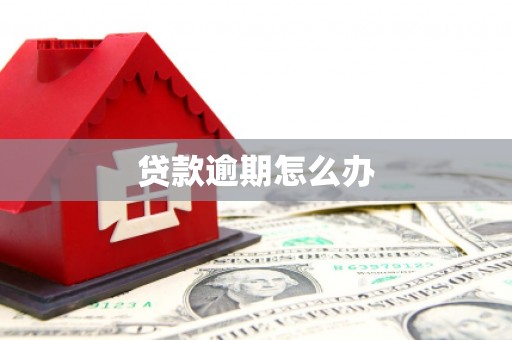 乐都贷款逾期怎么办