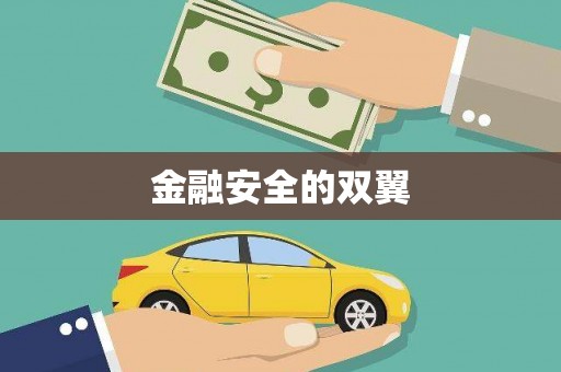 乐都金融安全的双翼