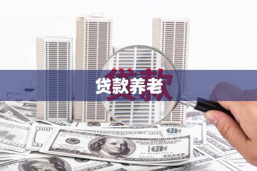 乐都贷款养老