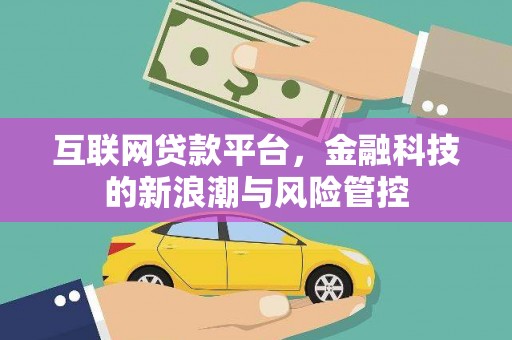 乐都互联网贷款平台，金融科技的新浪潮与风险管控