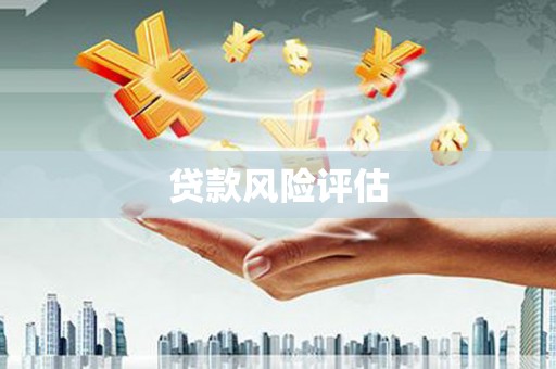 乐都贷款风险评估