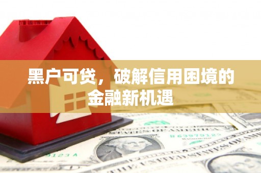 乐都黑户可贷，破解信用困境的金融新机遇