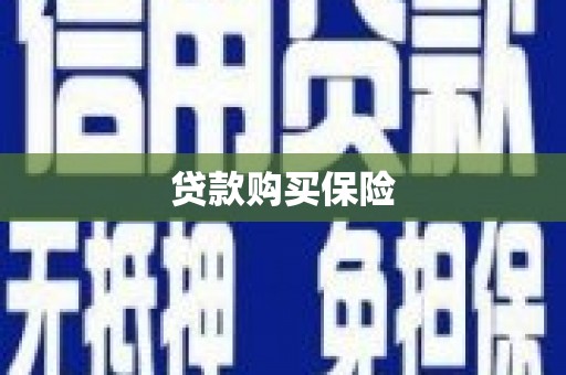 乐都贷款购买保险