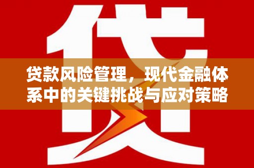 乐都贷款风险管理，现代金融体系中的关键挑战与应对策略