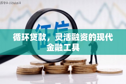 乐都循环贷款，灵活融资的现代金融工具
