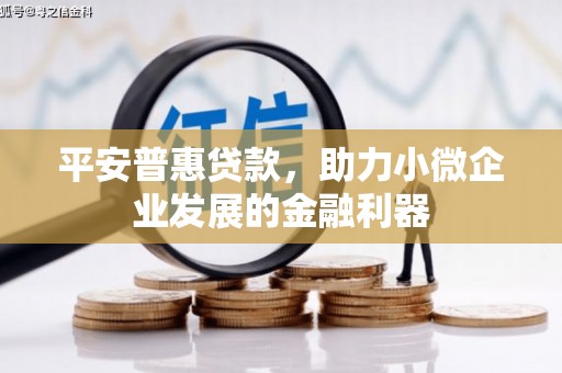 乐都平安普惠贷款，助力小微企业发展的金融利器