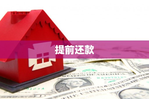 乐都提前还款