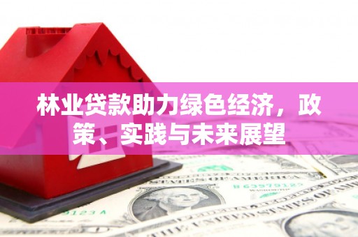 乐都林业贷款助力绿色经济，政策、实践与未来展望