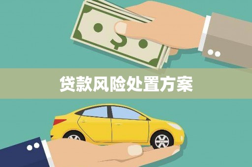 乐都贷款风险处置方案