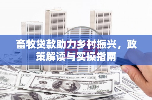 乐都畜牧贷款助力乡村振兴，政策解读与实操指南