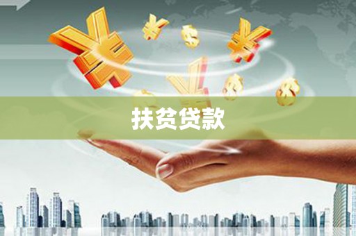 乐都扶贫贷款