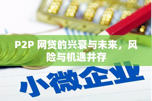 乐都P2P 网贷的兴衰与未来，风险与机遇并存