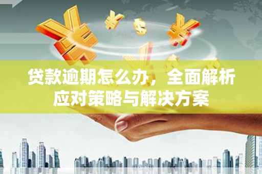 乐都贷款逾期怎么办，全面解析应对策略与解决方案
