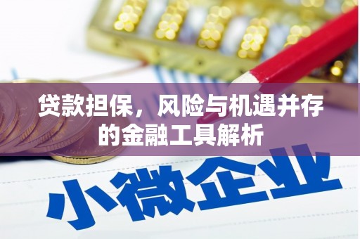 乐都贷款担保，风险与机遇并存的金融工具解析