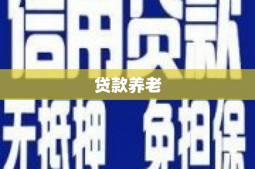 乐都贷款养老