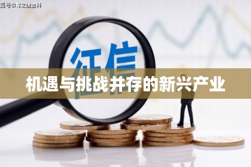 乐都机遇与挑战并存的新兴产业