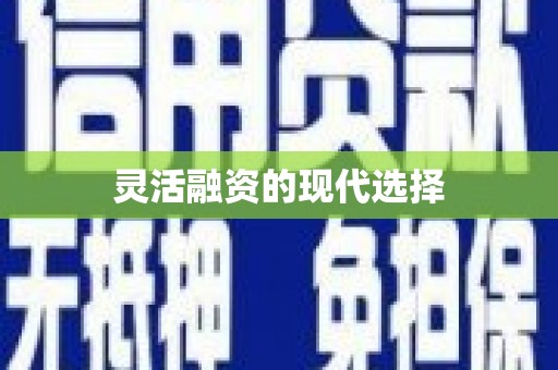 乐都灵活融资的现代选择