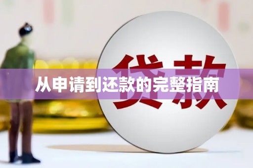 乐都从申请到还款的完整指南