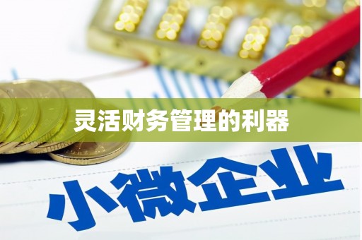 乐都灵活财务管理的利器